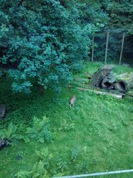 IMG_20160701_095137 IMG_20160701_095137