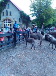 IMG_20160701_101419 IMG_20160701_101419
