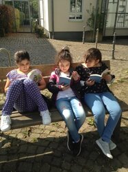 IMG_8834.JPG